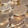$25.00 Gift Card